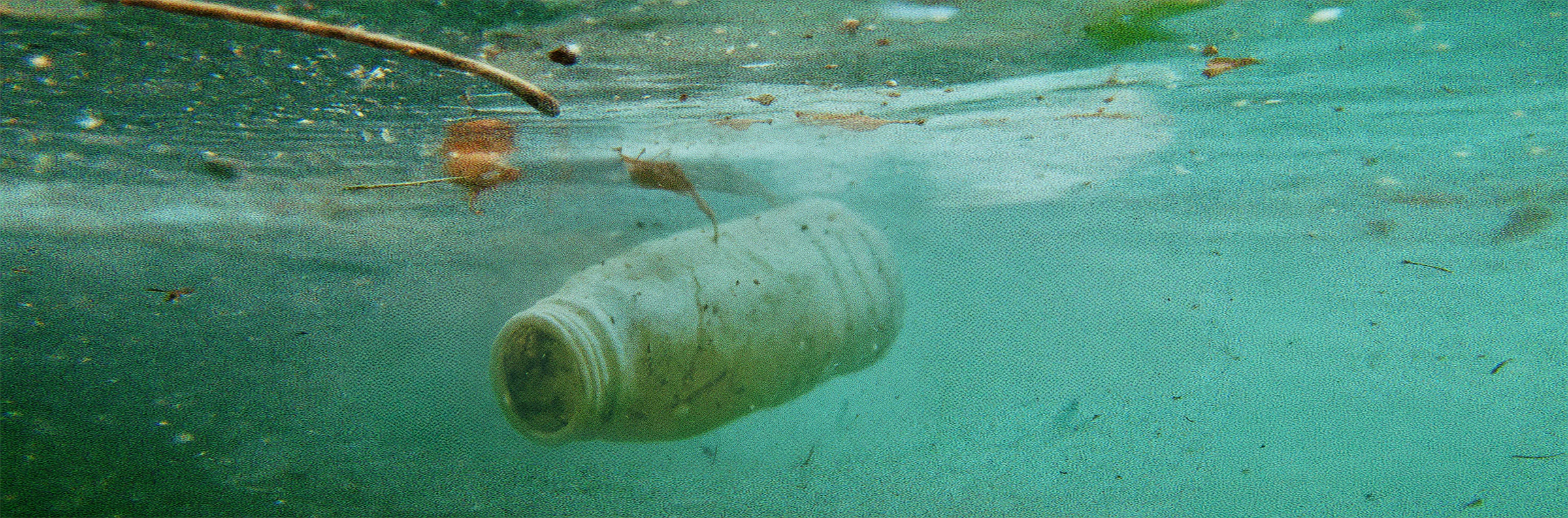 Elevate Your Natural Wellness Journey